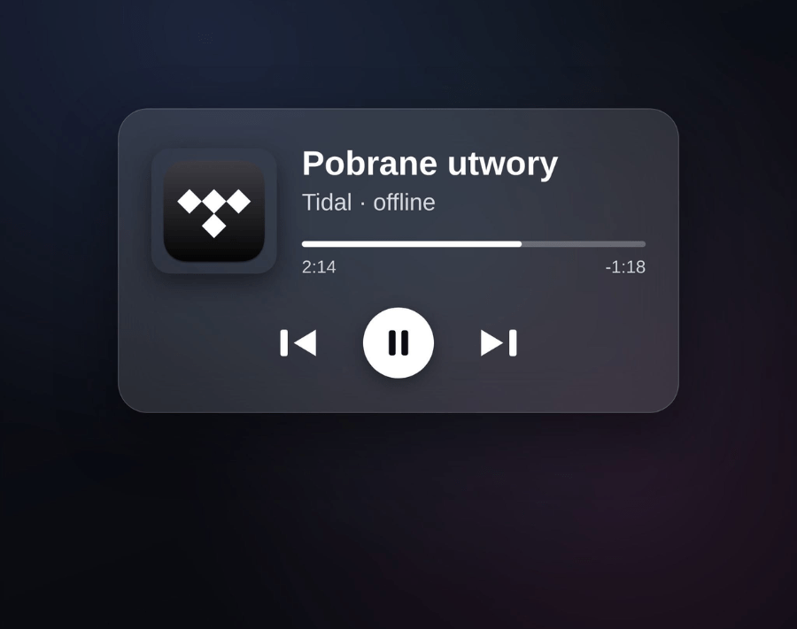 Tidal z długo wyczekiwaną aktualizacją!
